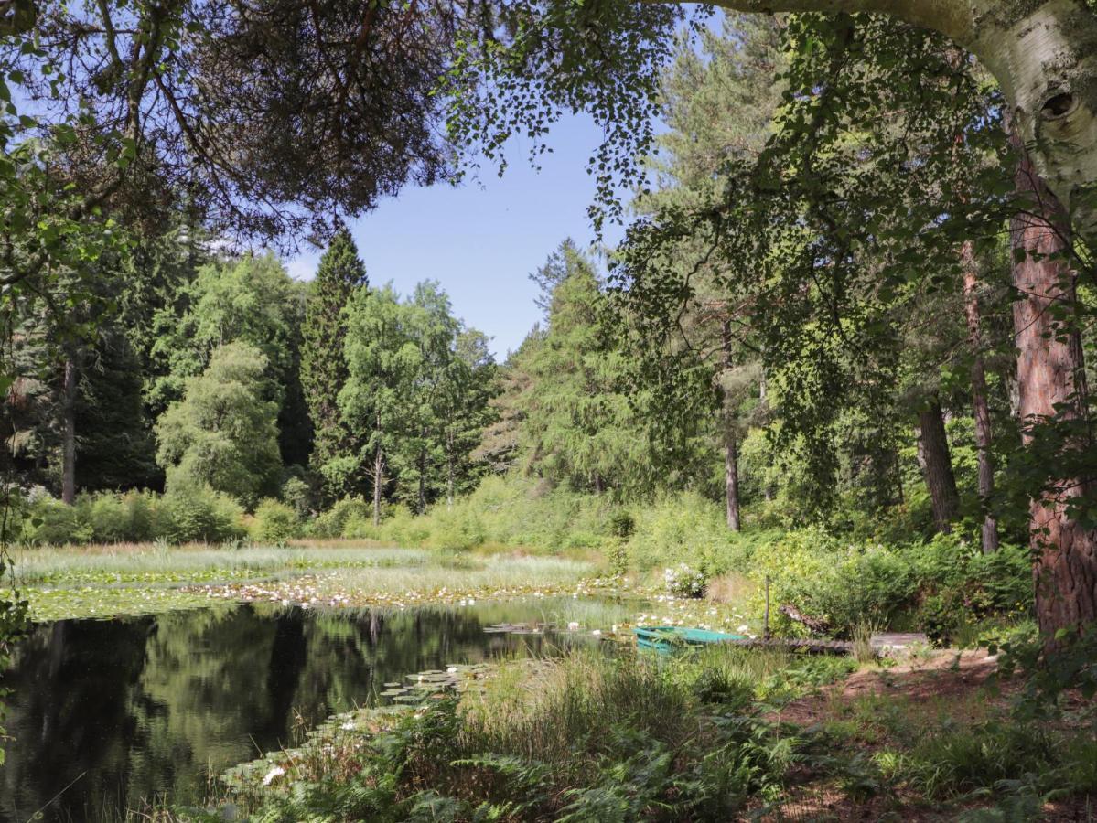 אלג'ין Garden Cottage מראה חיצוני תמונה