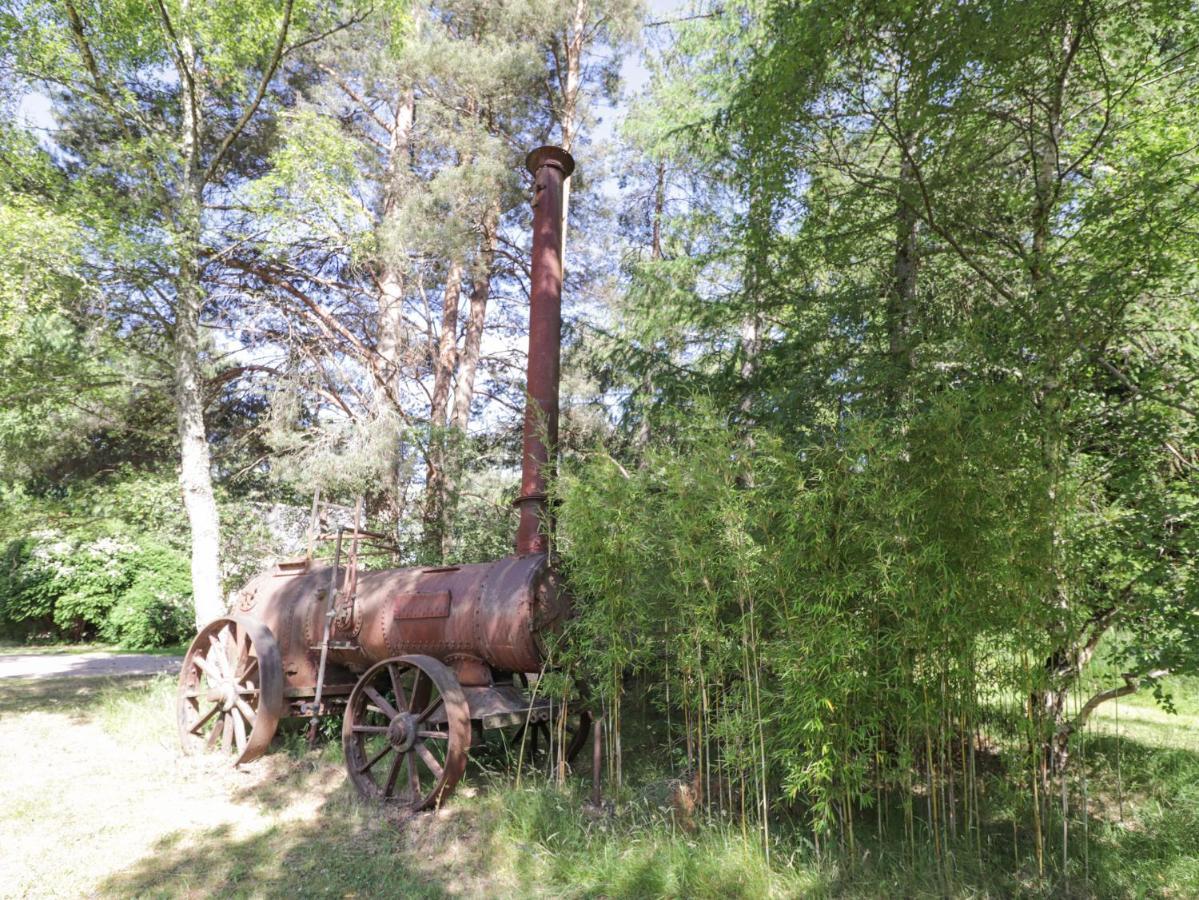 אלג'ין Garden Cottage מראה חיצוני תמונה